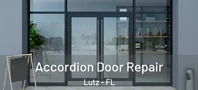 Accordion Door Repair Lutz - FL