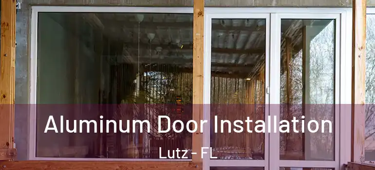 Aluminum Door Installation Lutz - FL