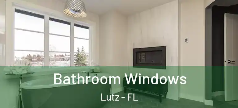 Bathroom Windows Lutz - FL