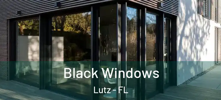 Black Windows Lutz - FL