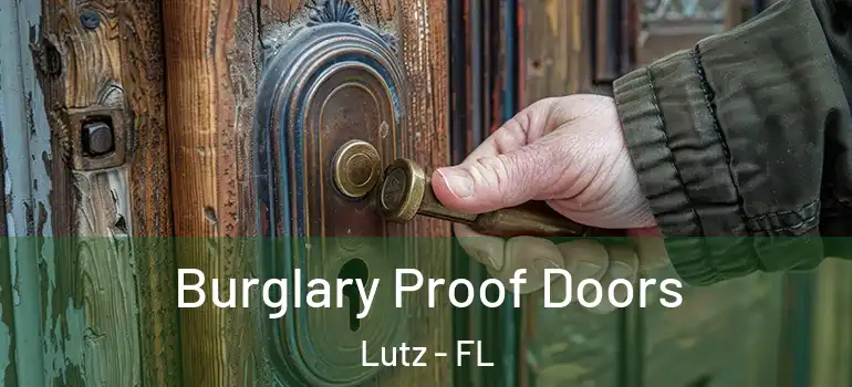 Burglary Proof Doors Lutz - FL