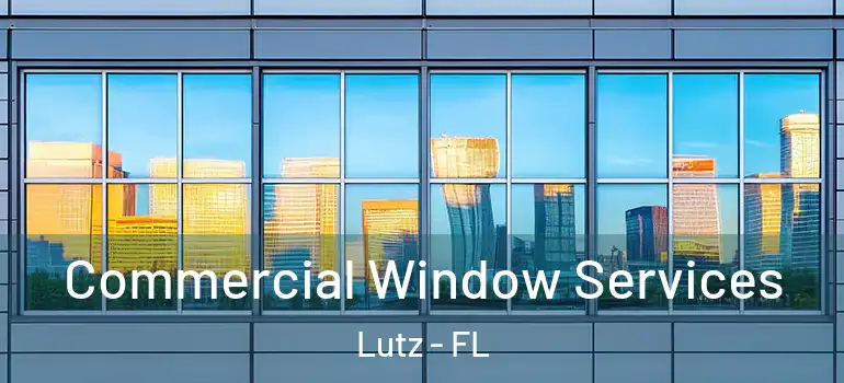 Commercial Window Services Lutz - FL
