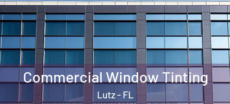 Commercial Window Tinting Lutz - FL
