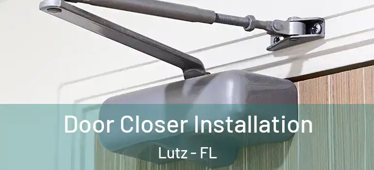 Door Closer Installation Lutz - FL