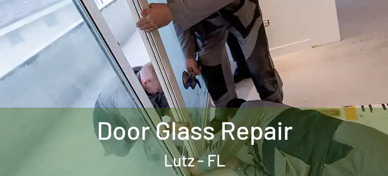 Door Glass Repair Lutz - FL
