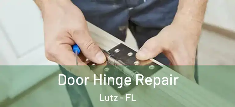 Door Hinge Repair Lutz - FL