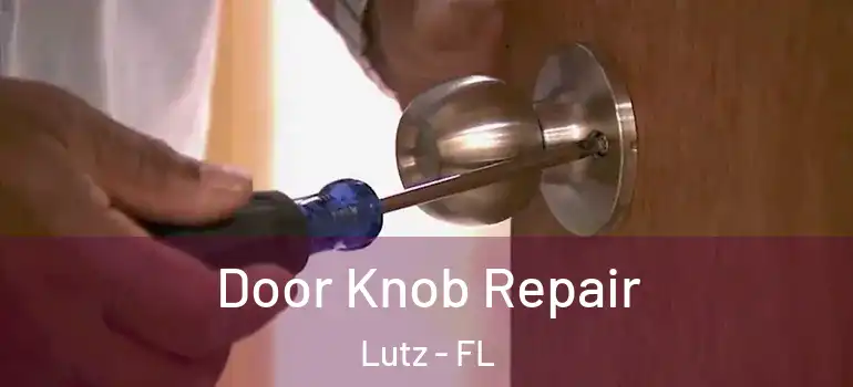 Door Knob Repair Lutz - FL