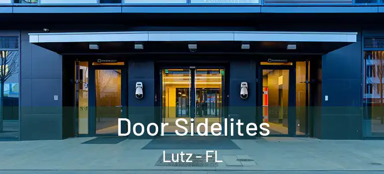 Door Sidelites Lutz - FL