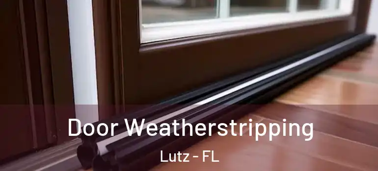 Door Weatherstripping Lutz - FL