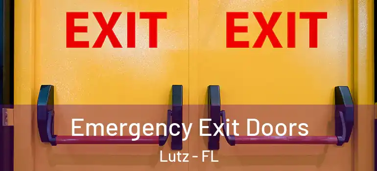 Emergency Exit Doors Lutz - FL