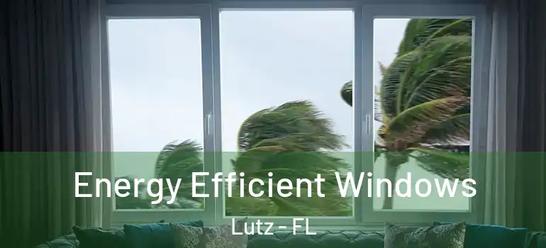 Energy Efficient Windows Lutz - FL