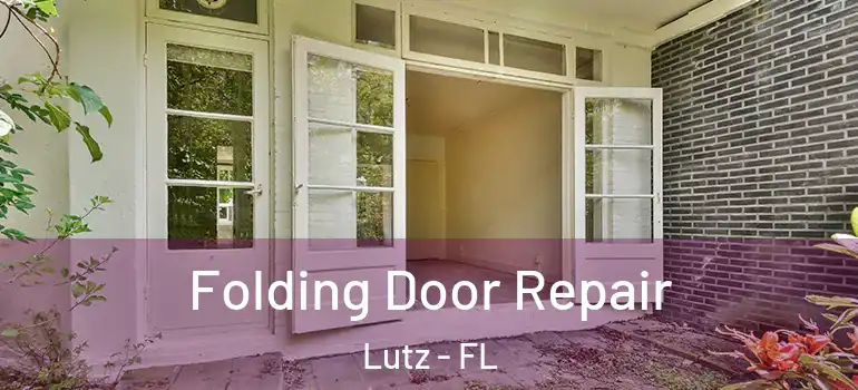 Folding Door Repair Lutz - FL
