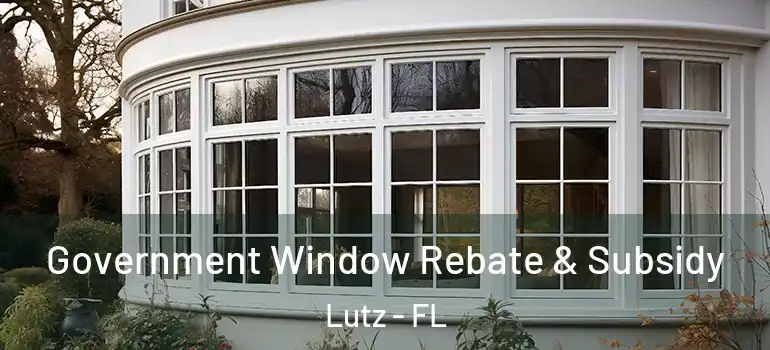 Government Window Rebate & Subsidy Lutz - FL