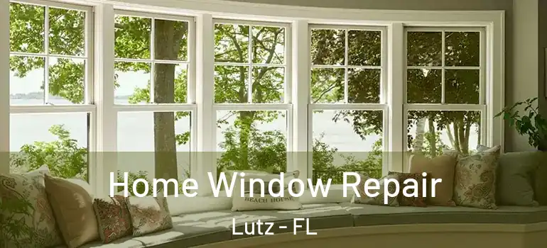 Home Window Repair Lutz - FL