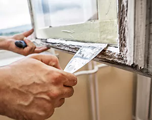 Professional Door and Windows Installation in Lutz, FL