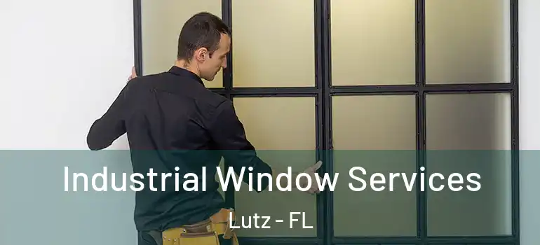Industrial Window Services Lutz - FL