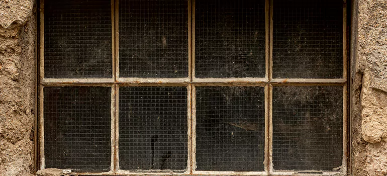 Traditional Double Front Doors in Lutz, FL