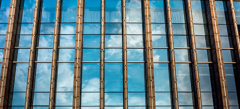 Professional Window Tinting Services in Lutz, FL