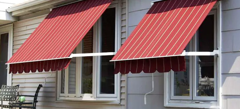 Government Rebate Window Replacement in Lutz, FL