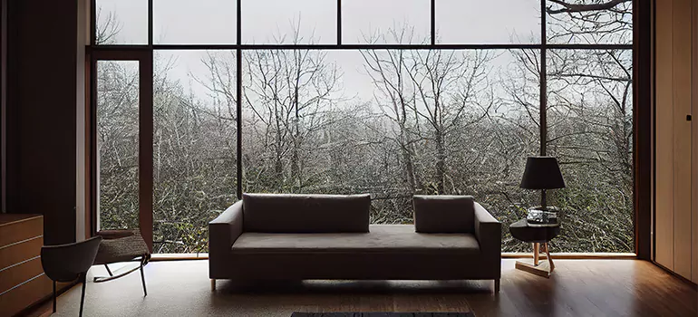 Casement Picture Window in Lutz, FL