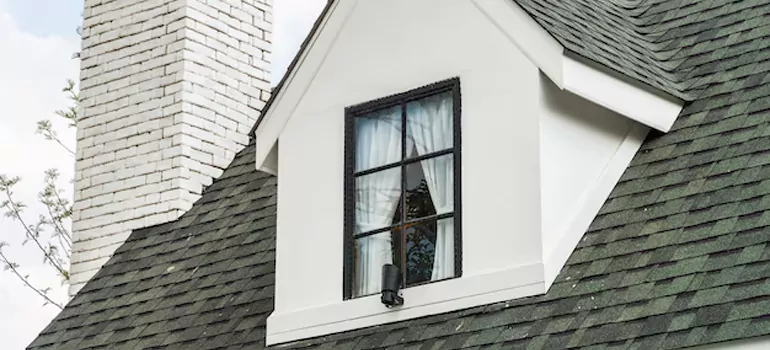 Roof Window Repair in Lutz, FL