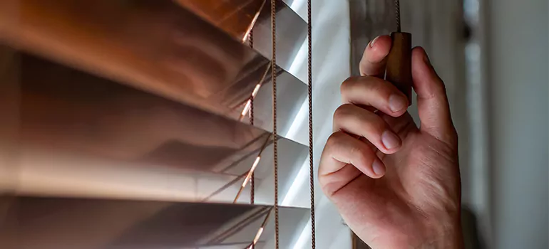 Double Roller Blinds in Lutz, FL