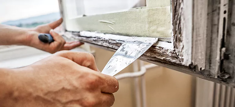 Exterior Window Frame Repair in Lutz, FL