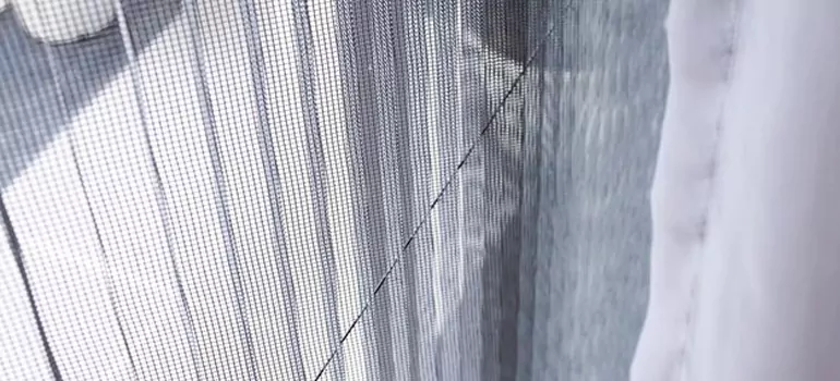 Fixing Screen Window Mesh in Lutz, FL