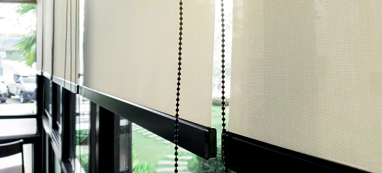 Blackout Window Shades in Lutz, FL