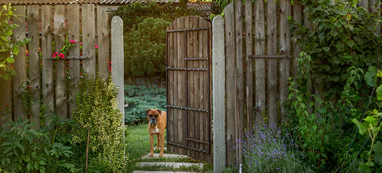 Winter Garden Garage Door Repair in Lutz,[location field=state]