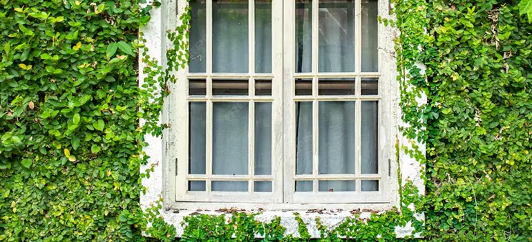 Garden Window Repair Near Me in Lutz, FL