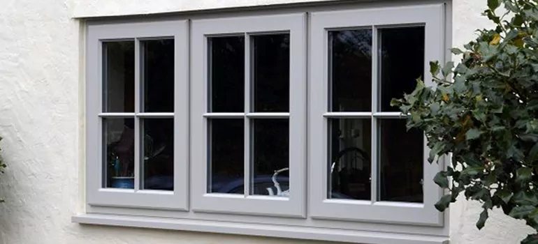 Stormproof Windows With Tinted Glass Services in Lutz, FL