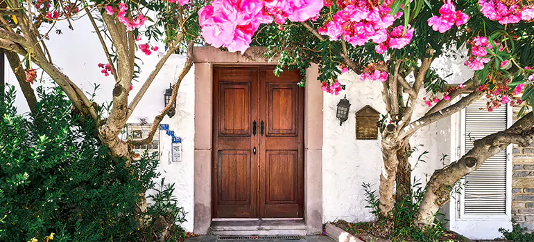 Traditional 4 Panel Internal Doors in Lutz, FL