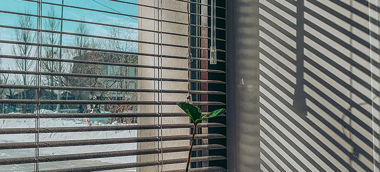 Commercial Window Blinds in Lutz, FL