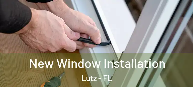 New Window Installation Lutz - FL