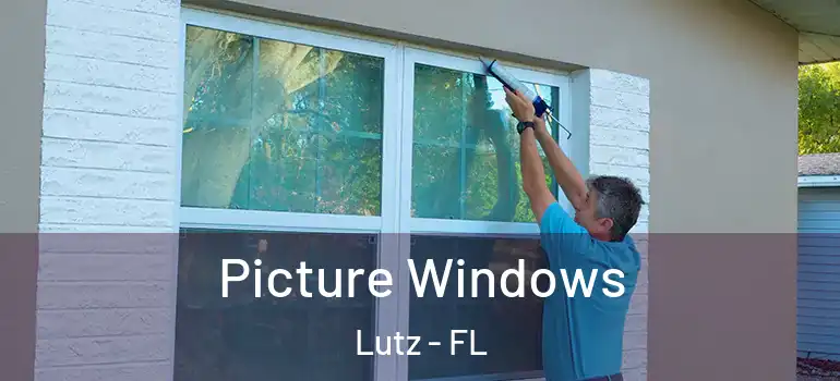 Picture Windows Lutz - FL