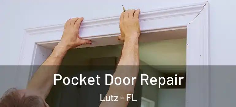 Pocket Door Repair Lutz - FL