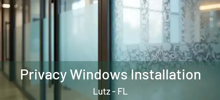 Privacy Windows Installation Lutz - FL
