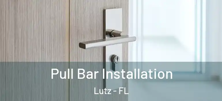 Pull Bar Installation Lutz - FL