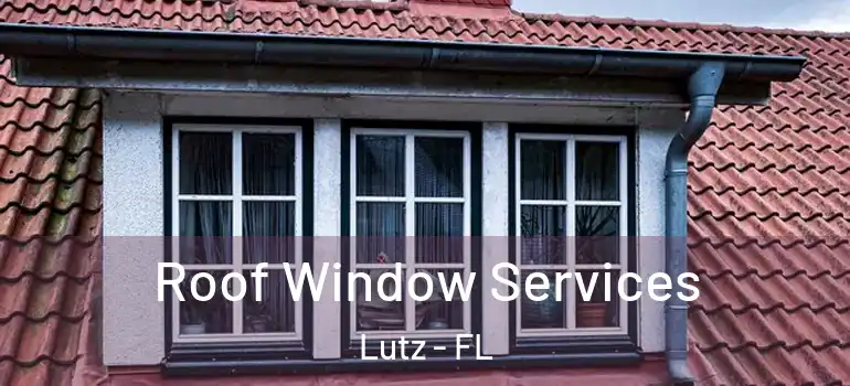 Roof Window Services Lutz - FL