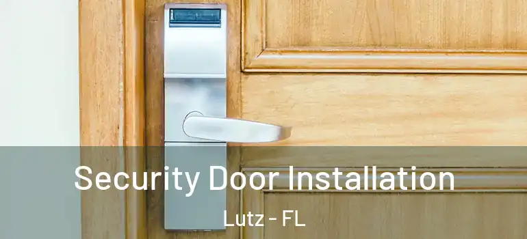 Security Door Installation Lutz - FL