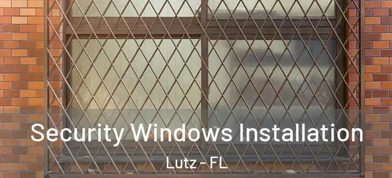 Security Windows Installation Lutz - FL