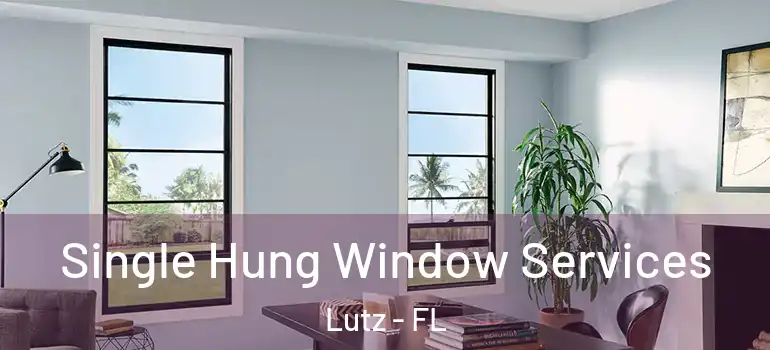 Single Hung Window Services Lutz - FL