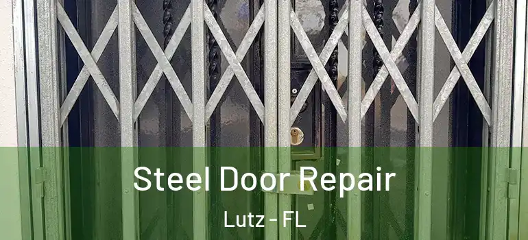 Steel Door Repair Lutz - FL