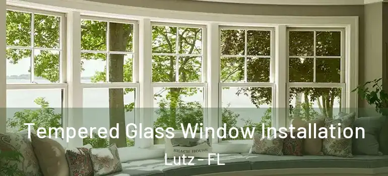 Tempered Glass Window Installation Lutz - FL