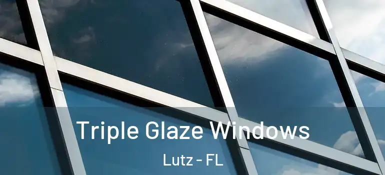 Triple Glaze Windows Lutz - FL