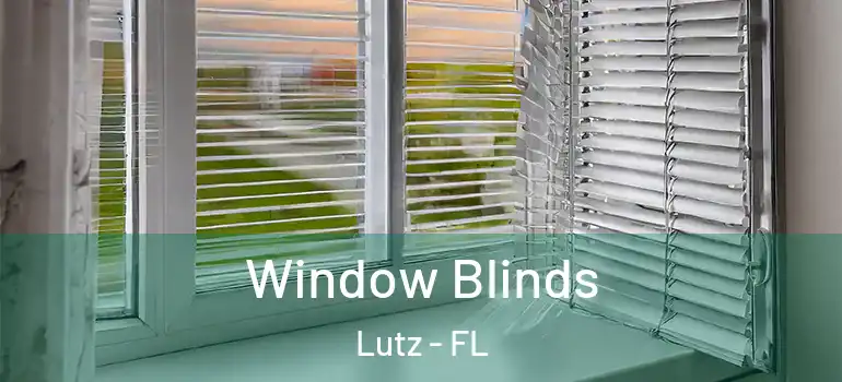 Window Blinds Lutz - FL