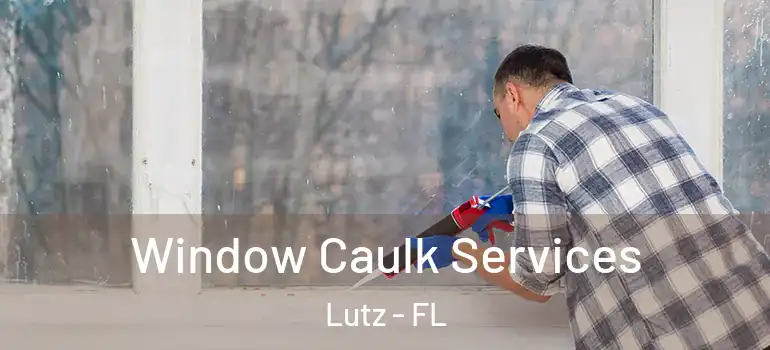Window Caulk Services Lutz - FL
