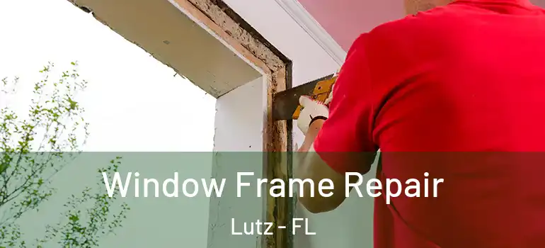 Window Frame Repair Lutz - FL
