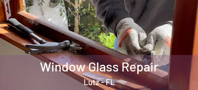 Window Glass Repair Lutz - FL